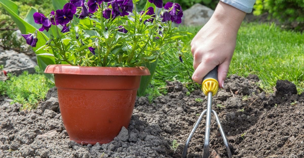 Gardening Soil Preparation